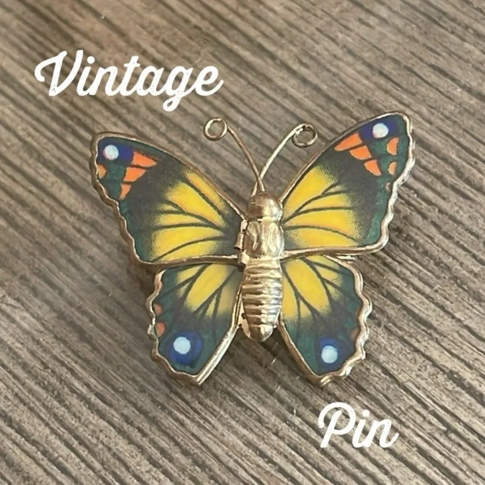 Vintage Colorful Butterfly Pin Resin Wings